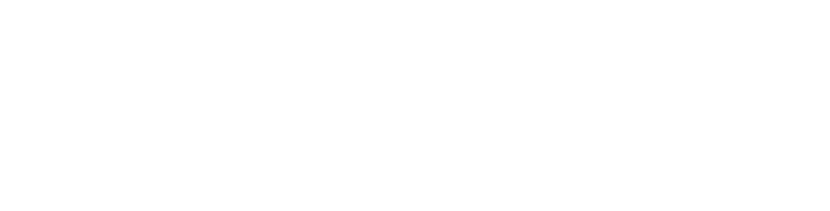 Argenflex